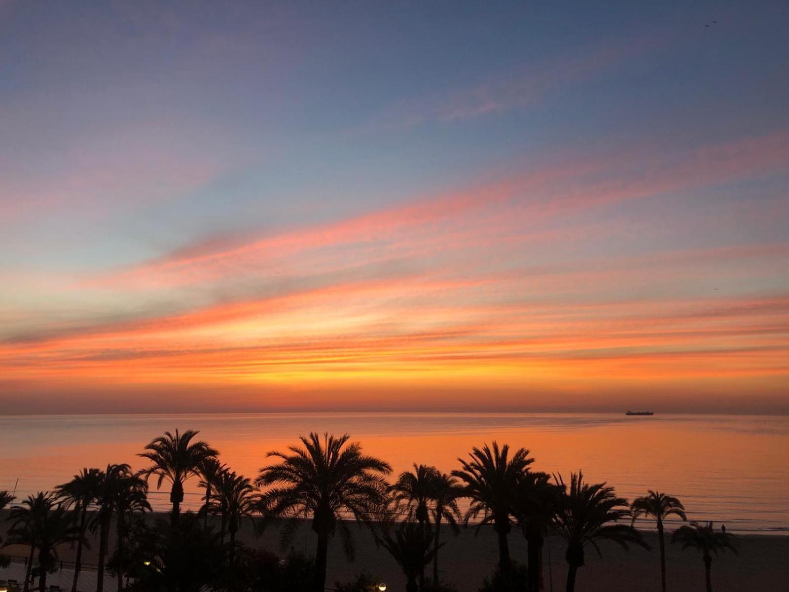 Apartamentos Bahia Alicante Extérieur photo